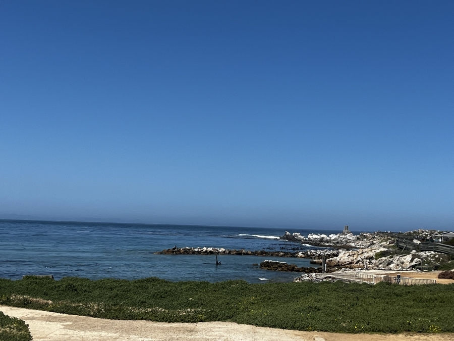 0 Bedroom Property for Sale in Bettys Bay Western Cape